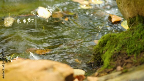 Frog Jump photo