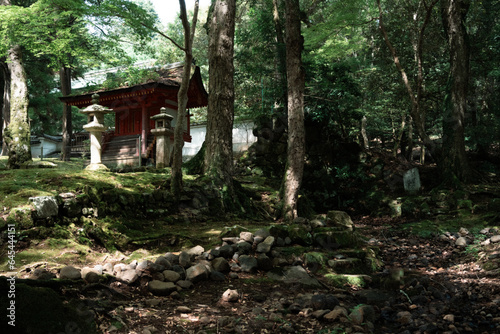 house in the woods