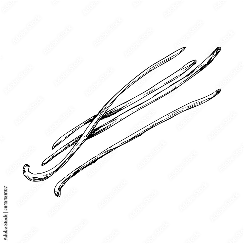 Linear vanilla pods. spices for cooking and baking Linear vanilla pods. spices for cooking and baking