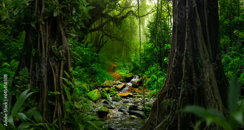 Deep tropical jungles of Southeast Asia © quickshooting