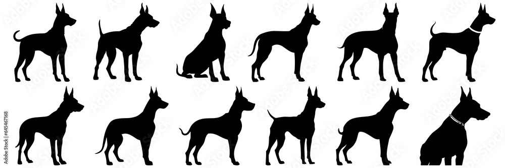Dog doberman silhouettes set, large pack of vector silhouette design, isolated white background