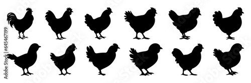 Chicken farm animals silhouettes set, large pack of vector silhouette design, isolated white background
