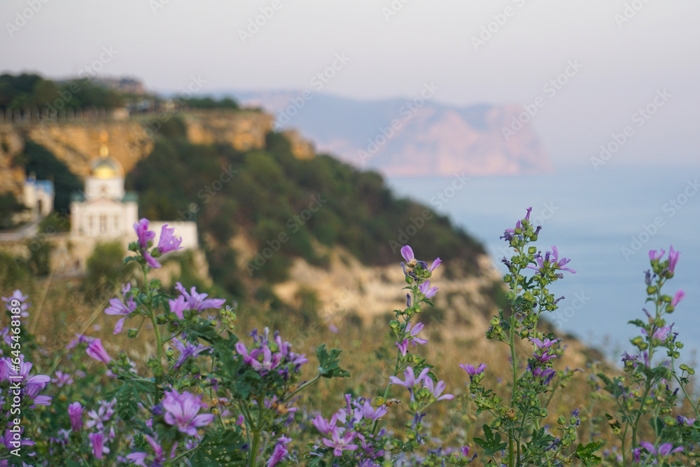 Vibrant pink flowers on the background of the sea     