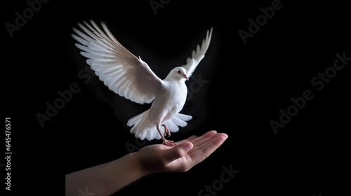 dove flying over hand