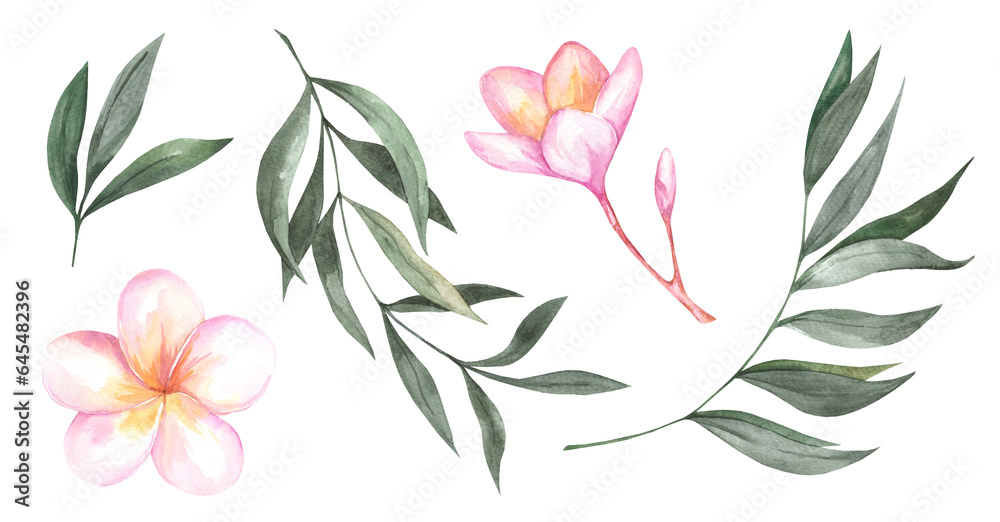 Fototapeta premium Watercolor set of tropical plants isolated on white background. Botanical illustration of plumeria flowers and palm leaves. Summer holidays and travel