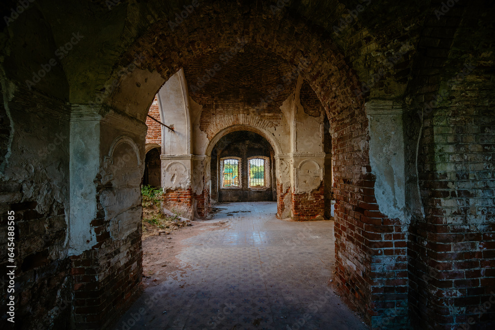 Large ancient vaulted corridor of abandoned church, castle etc.