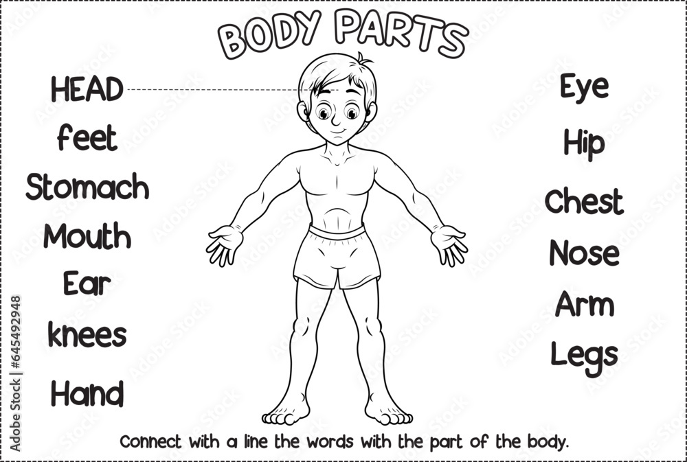 Actividad educativa ilustración vectorial para colorear  y unir con una línea las palabras con las partes del cuerpo humano.