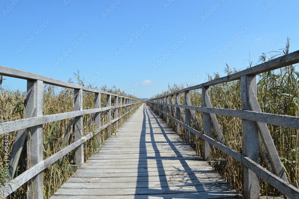 Obraz premium Der Federsee