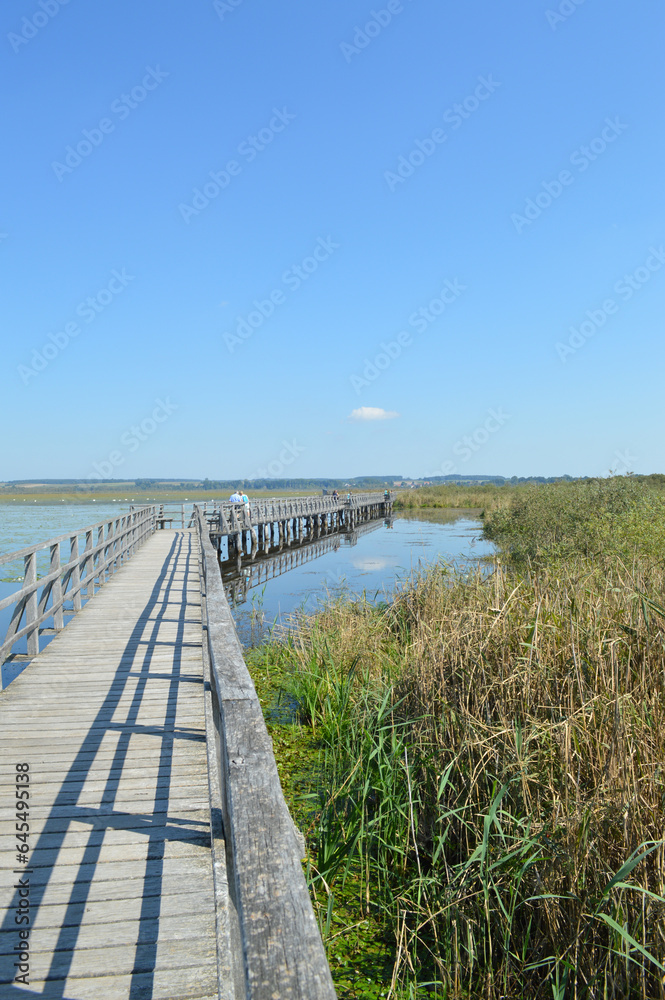 Fototapeta premium Der Federsee