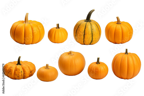 set of pumpkins isolated on white background