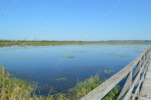 Der Federsee photo