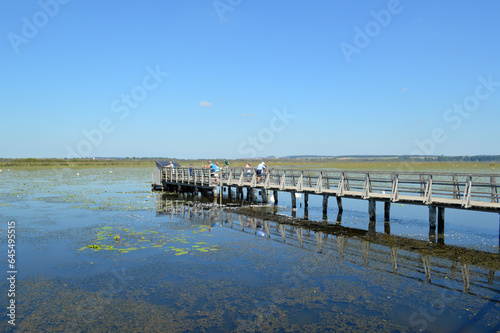 Der Federsee © PixelPower