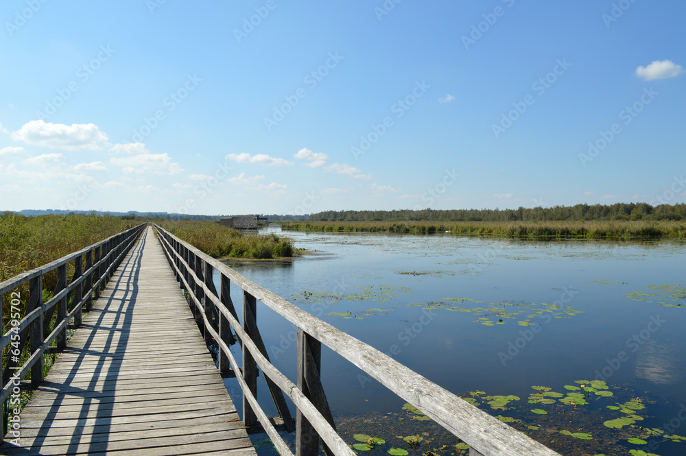 Der Federsee