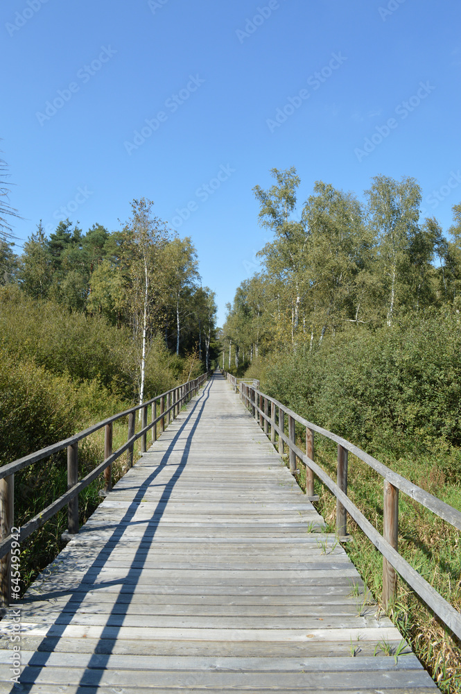 Naklejka premium Der Federsee