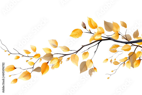 autumn leaves isolated on white