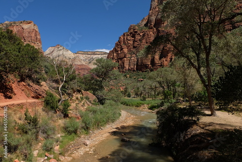 Zion national park