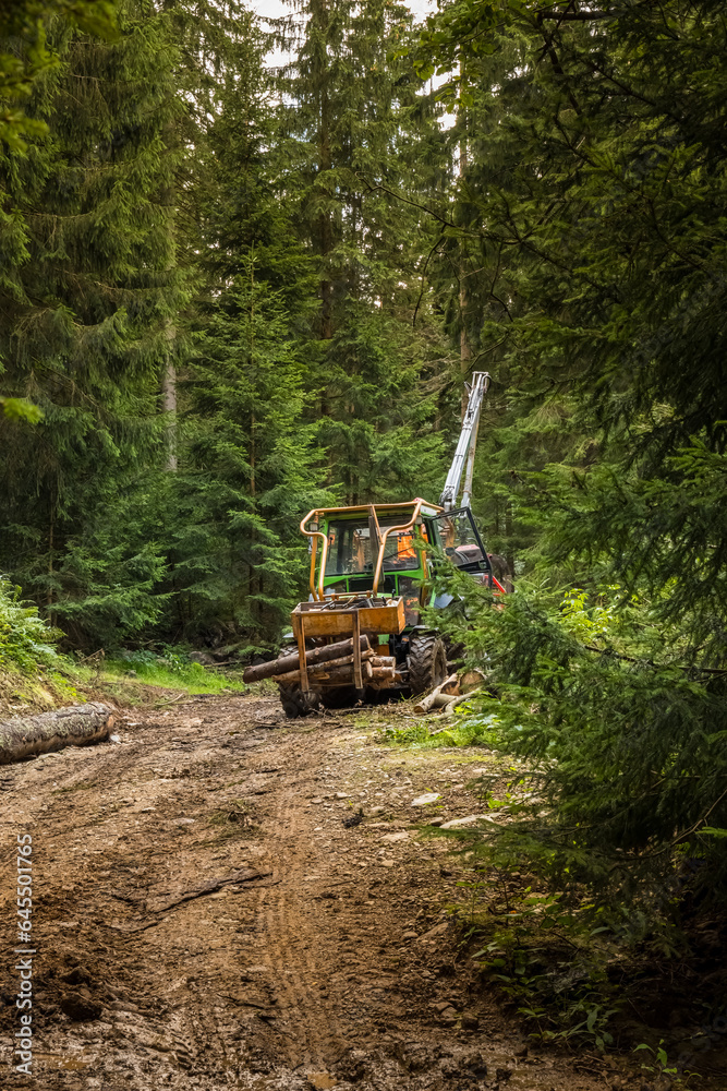 heavy forestry machine in the forest