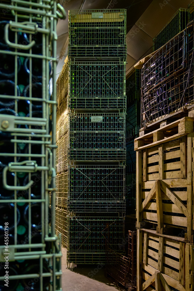 Fototapeta premium Many bottles of champagne sparkling wine. Visit of undergrounds caves, traditional producing of champagne wine in Cote des Bar, Aube, south of Champagne, France