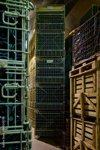 Many bottles of champagne sparkling wine. Visit of undergrounds caves  traditional producing of champagne wine in Cote des Bar  Aube  south of Champagne  France