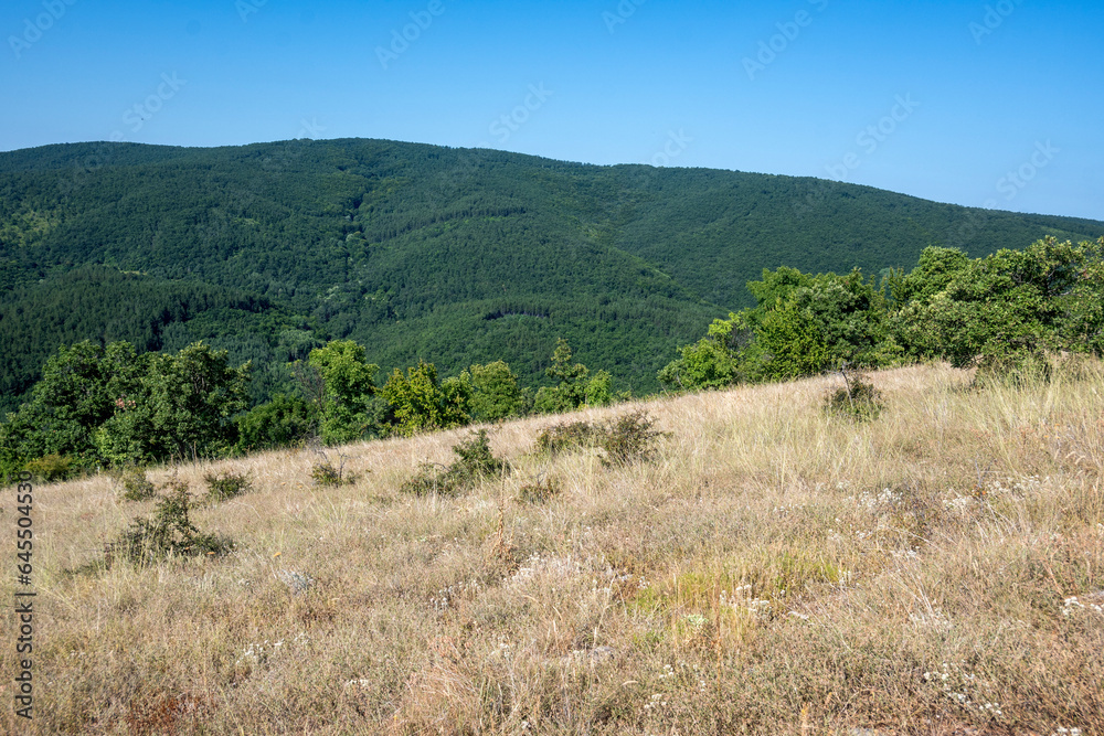 Summer Landscape of Rudina mountain, Bulgaria