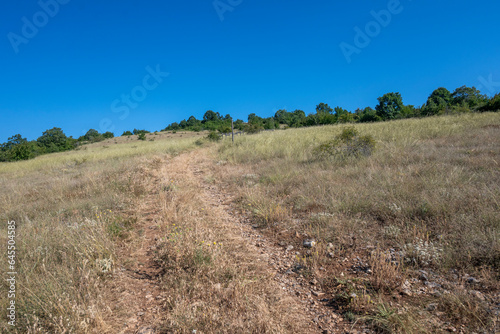 Summer Landscape of Rudina mountain, Bulgaria