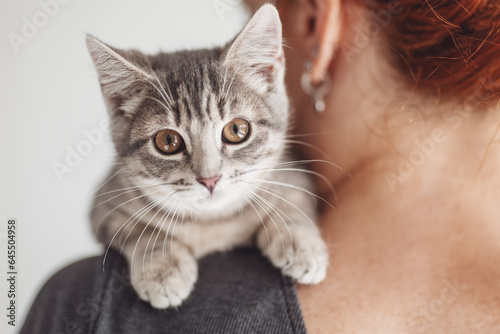 Little grey kitten sittung on the woman's shoulder.
