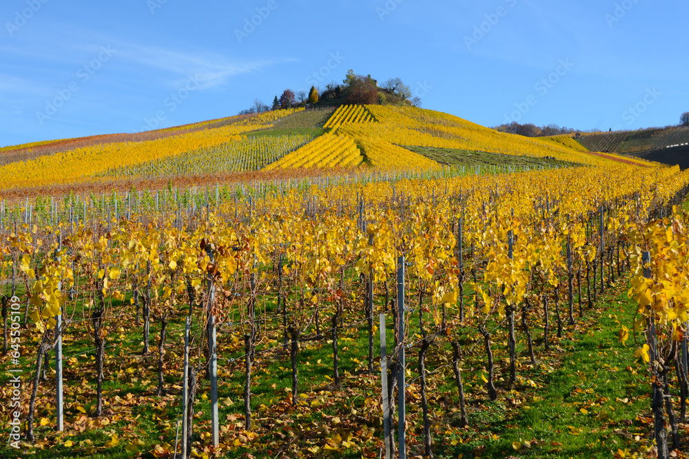 vineyard with colorful leaves and Stuttgart's burial chapel in the background