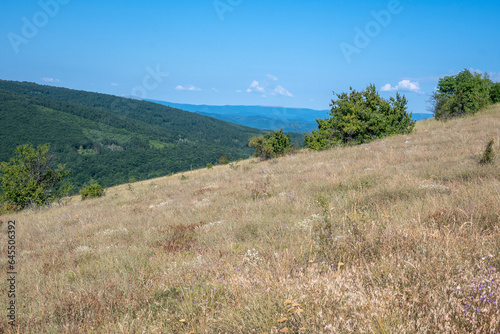 Summer Landscape of Rudina mountain  Bulgaria