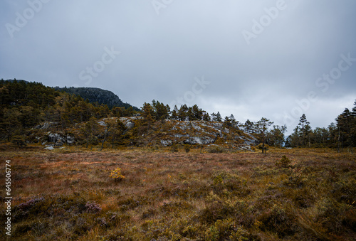 grass field in the mountains on hike in fjord in Norway
