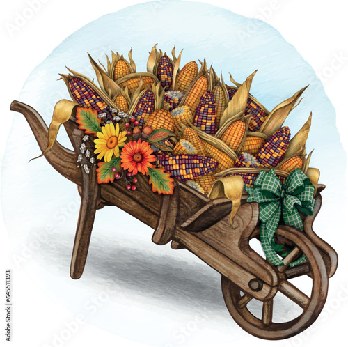 festive; home; outdoor; street market; sale; corn cobs; showcase; seasonal; dried; golden; wheelbarrow; kernel; thanksgiving; autumn; colorful; decorative; october; color; holiday; decor; orange; yell