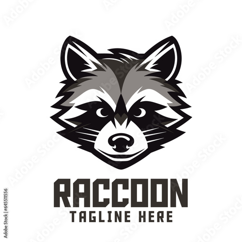 Raccoon sport mascot emblem: Animals logo icon badge