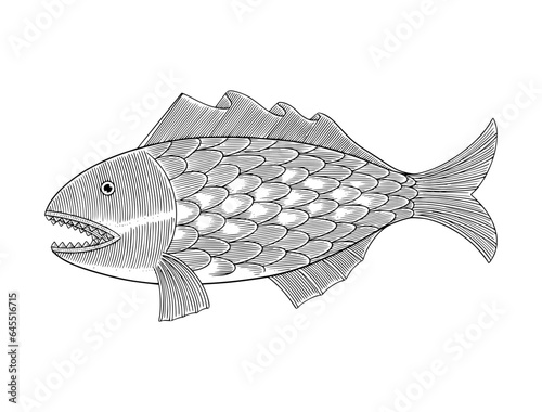 fish on white background, vintage engraving drawing style vector illudtrstion