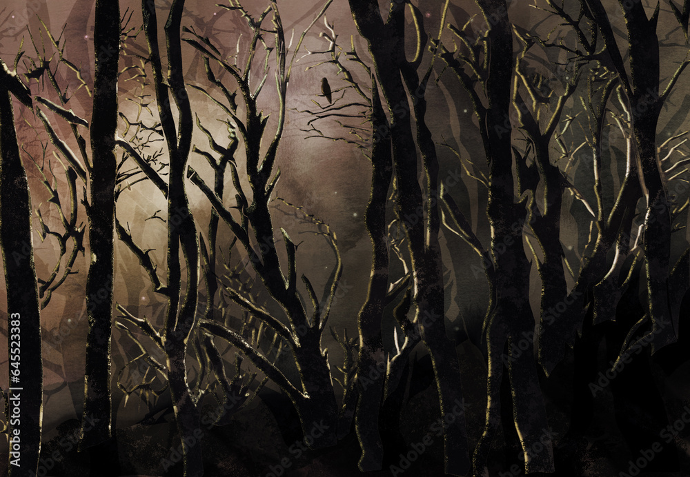 Obraz premium the forest