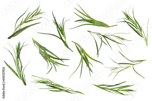 Set with green tarragon isolated on white