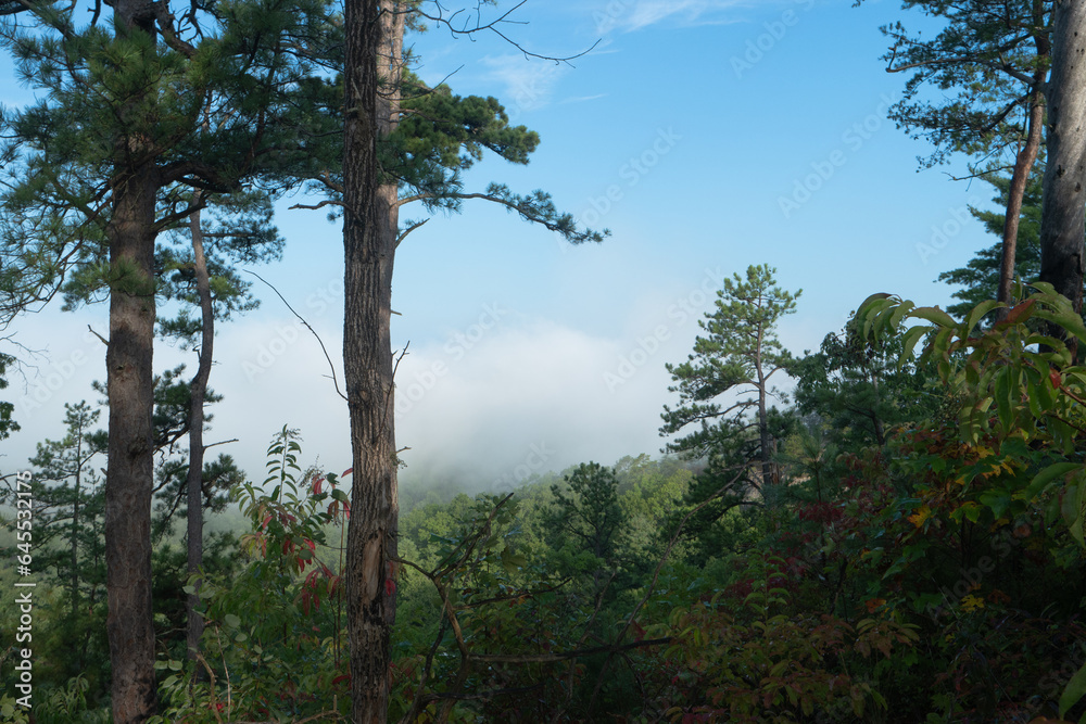 Foggy morning view from a mountain top