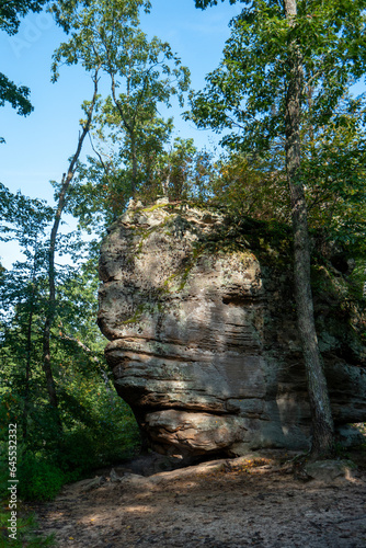 A boulder on Auxier Ridge in Red River Gorge