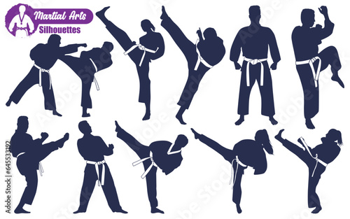 Martial Art or karate Silhouettes Vector illustration