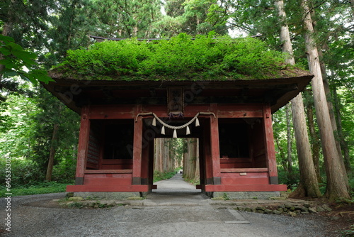 森の中の神社。随神門。戸隠。
