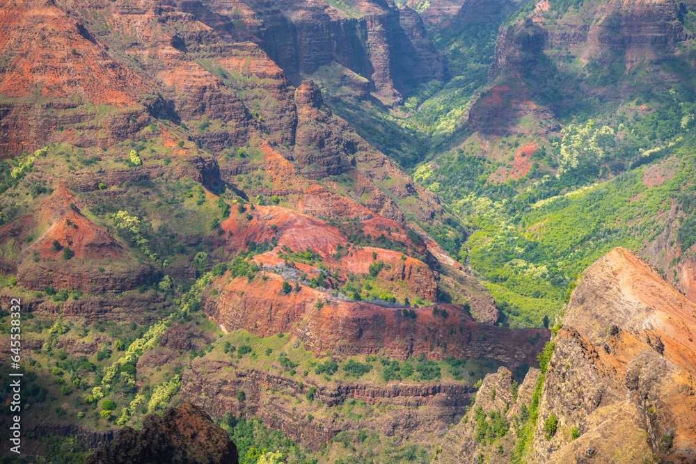 Fototapeta premium Waimea Canyon State Park, Kauai Hawaii