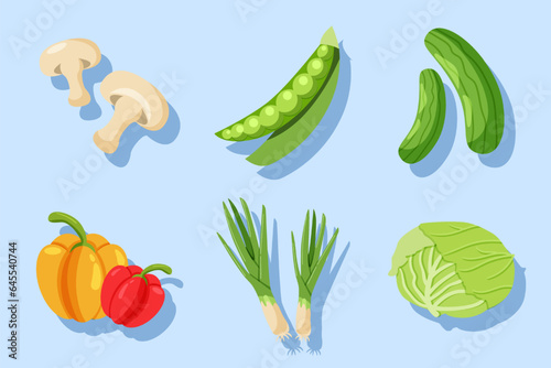 Set Collection of Vegetable Element
