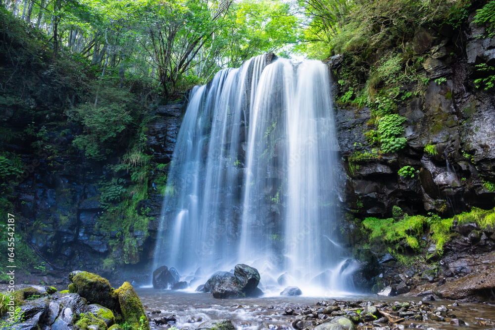 Obraz premium waterfall in the forest