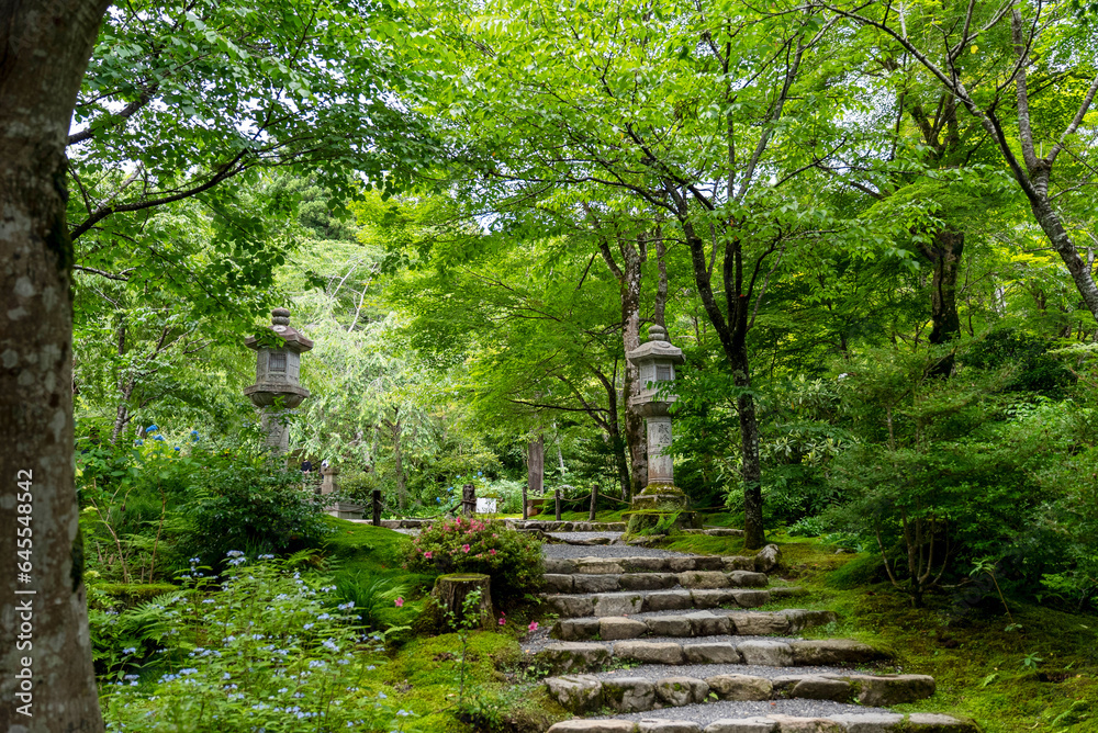 青紅葉の三千院