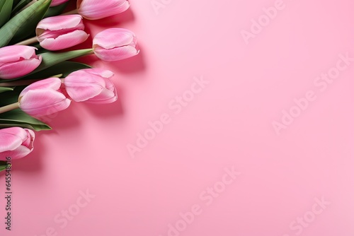 pink tulips in spring © PinkiePie