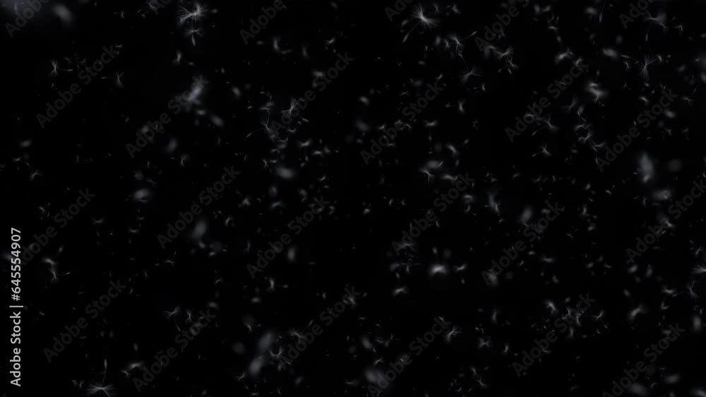 Seeds and pollen blowing in the wind animation, 4k 24p isolated on black