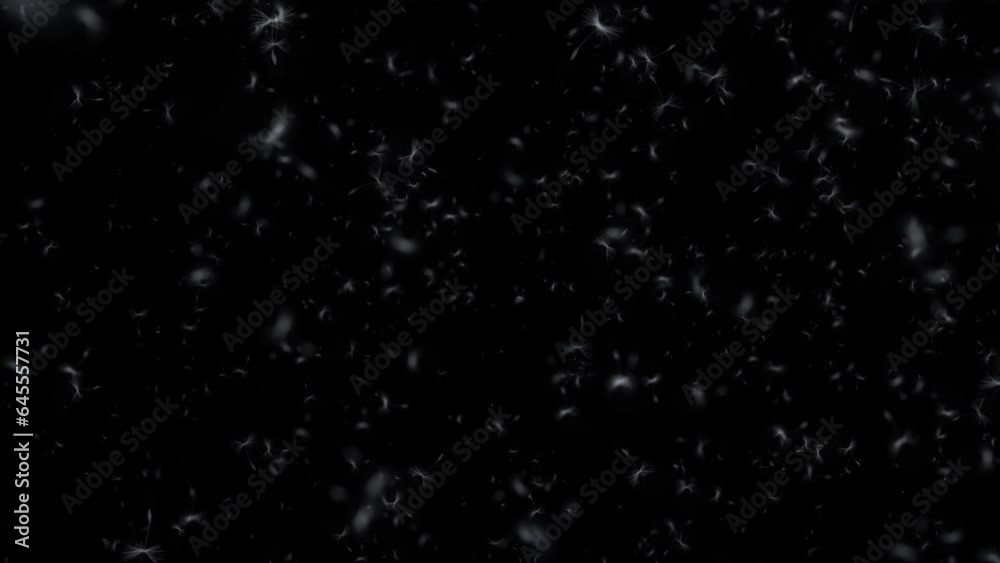 Seeds and pollen dust from a custom particle system blowing in the wind, 4k 24p with alpha channel for transparent background