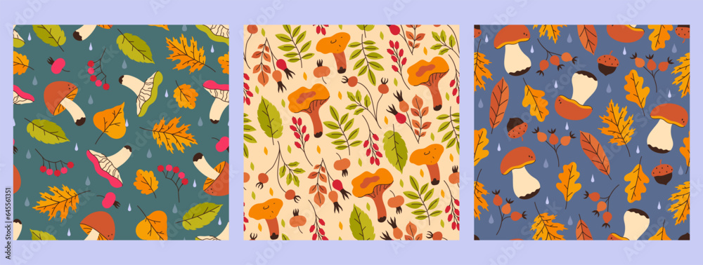 Collection of autumn seamless patterns with mushrooms, berries and leaves. Vector graphics.