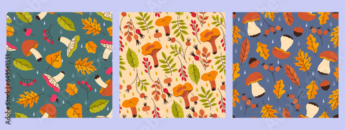 Collection of autumn seamless patterns with mushrooms, berries and leaves. Vector graphics.