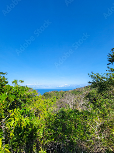 View of the ocean from the rainforest
