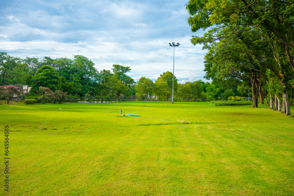 Green meadow grass with tree forest in city public park sunset sky with cloud Green meadow grass with tree forest in city public park sunset sky with cloud