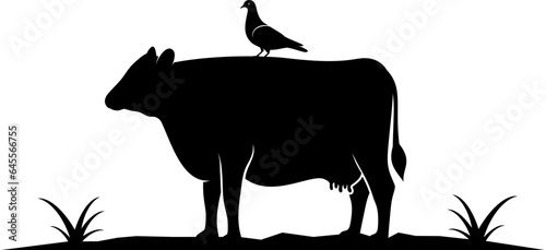 Cow with bird and grass